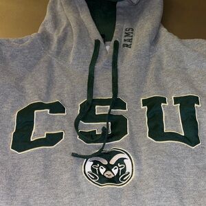 Colosseum Green and Gray Men's Hoodie
